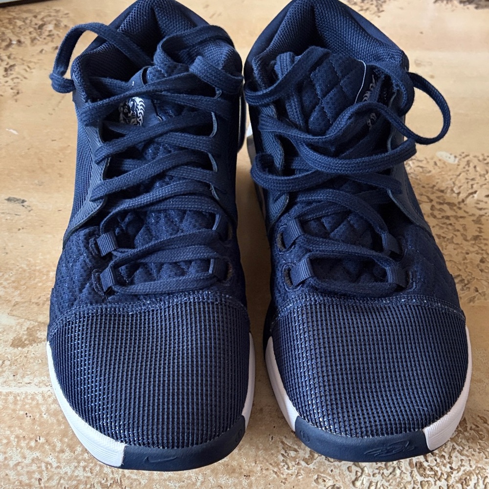 Nike LeBron basketball shoes
